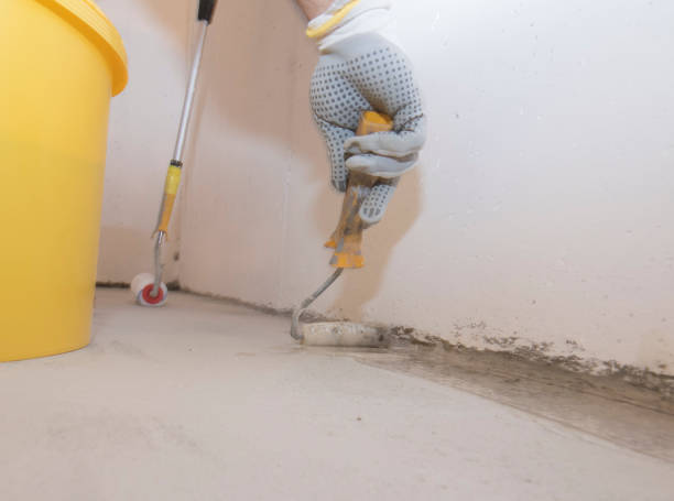 Best Fumigation Services  in Albany, IN